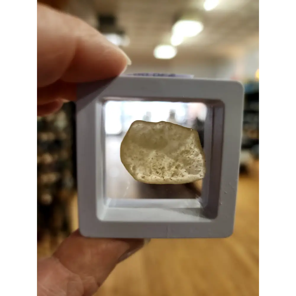 🌌 Libyan Desert Glass Specimens ✨ - 7 - Specimens