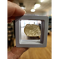 🌌 Libyan Desert Glass Specimens ✨ - 7 - Specimens