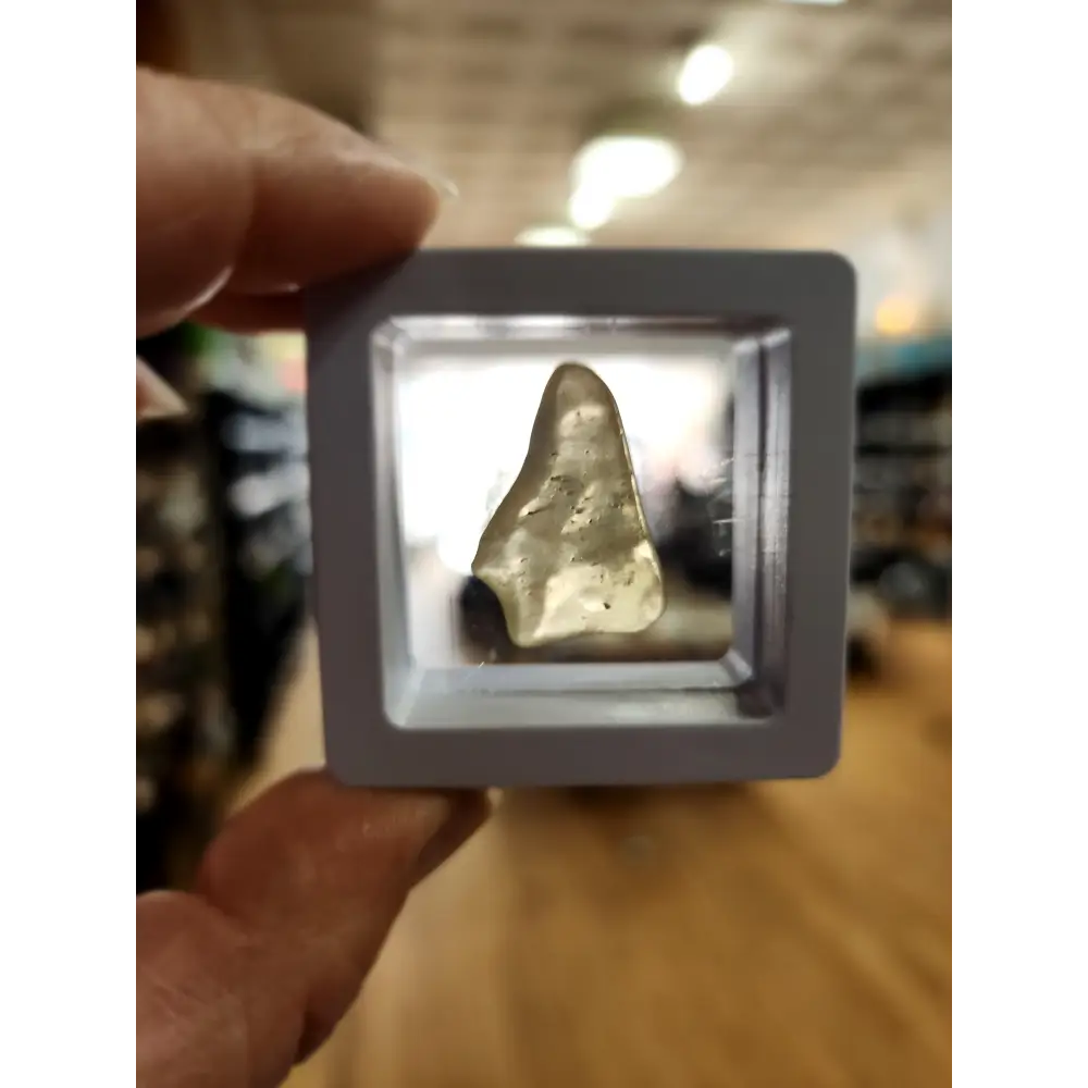 🌌 Libyan Desert Glass Specimens ✨ - 12 - Specimens