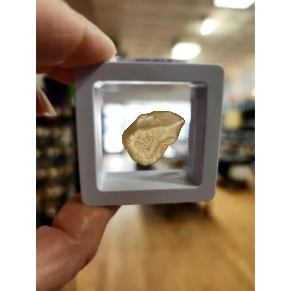 🌌 Libyan Desert Glass Specimens ✨ - 3 - Specimens