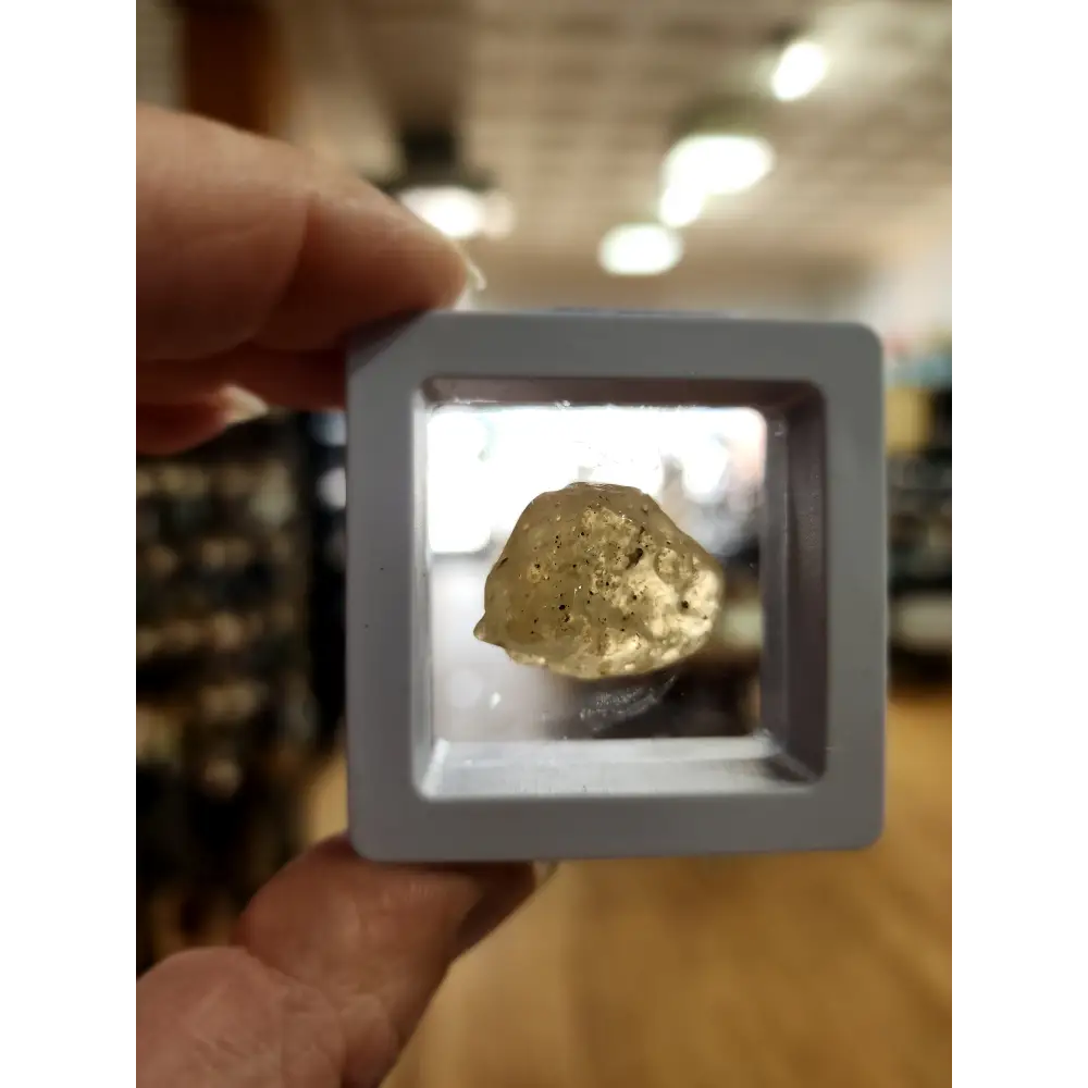 🌌 Libyan Desert Glass Specimens ✨ - 13 - Specimens