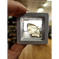 🌌 Libyan Desert Glass Specimens ✨ - 11 - Specimens