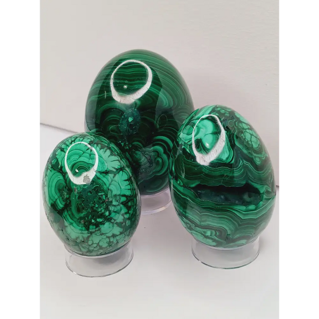 💚🥚 Malachite Egg – Transformative Beauty Growth and Heart Healing! ✨ - Spheres