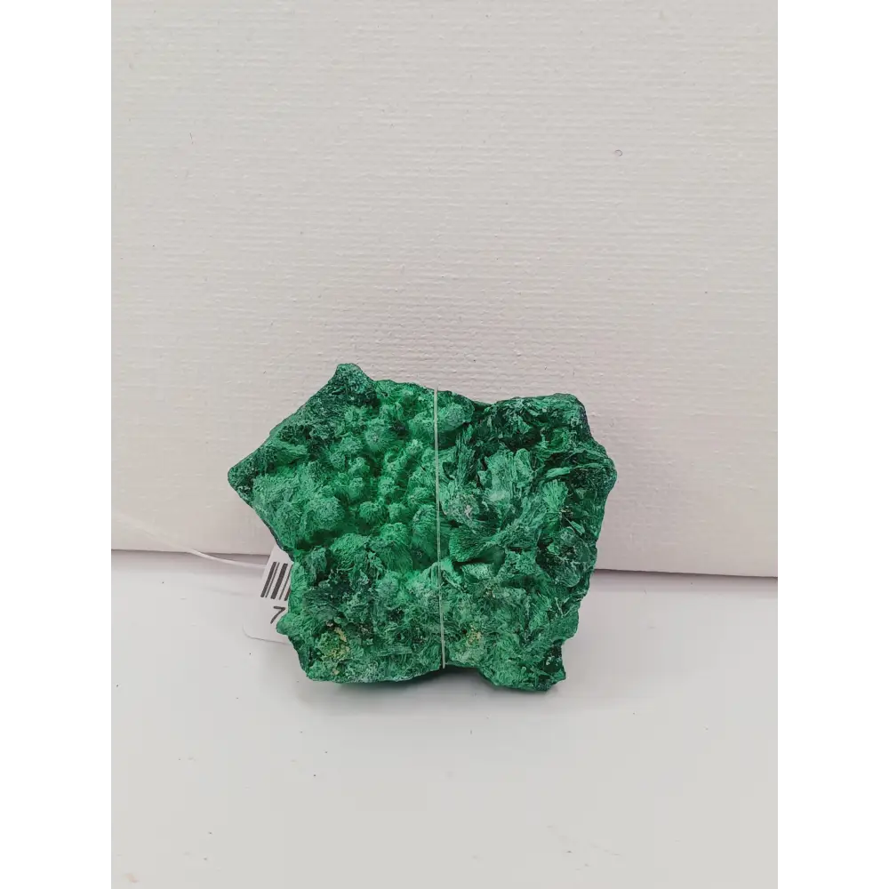 💚✨ Malachite Fibrous Specimen – Transformation Protection and Heart Healing 🌿 - Specimens