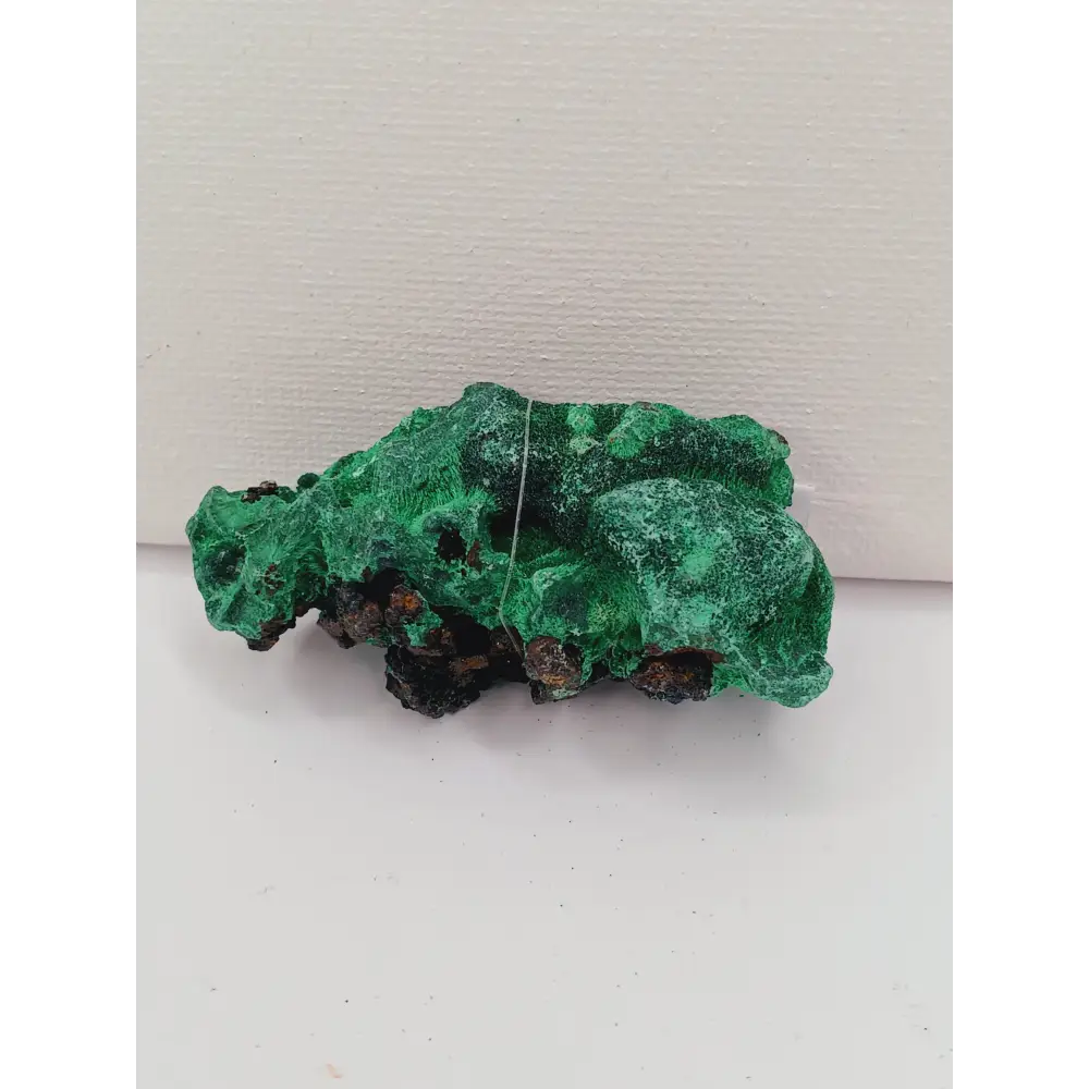 💚✨ Malachite Fibrous Specimen – Transformation Protection and Heart Healing 🌿 - Specimens