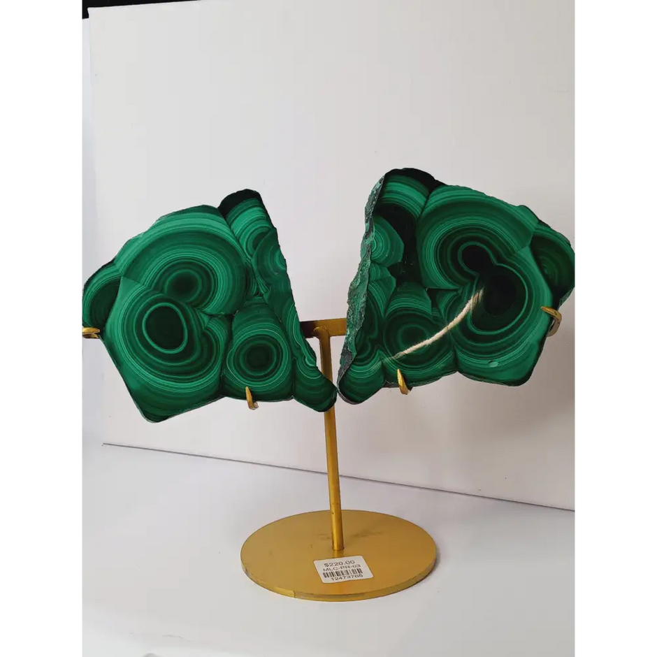 Pair of polished malachite slabs with vibrant green banding, displayed upright on a metal stand against a white background.