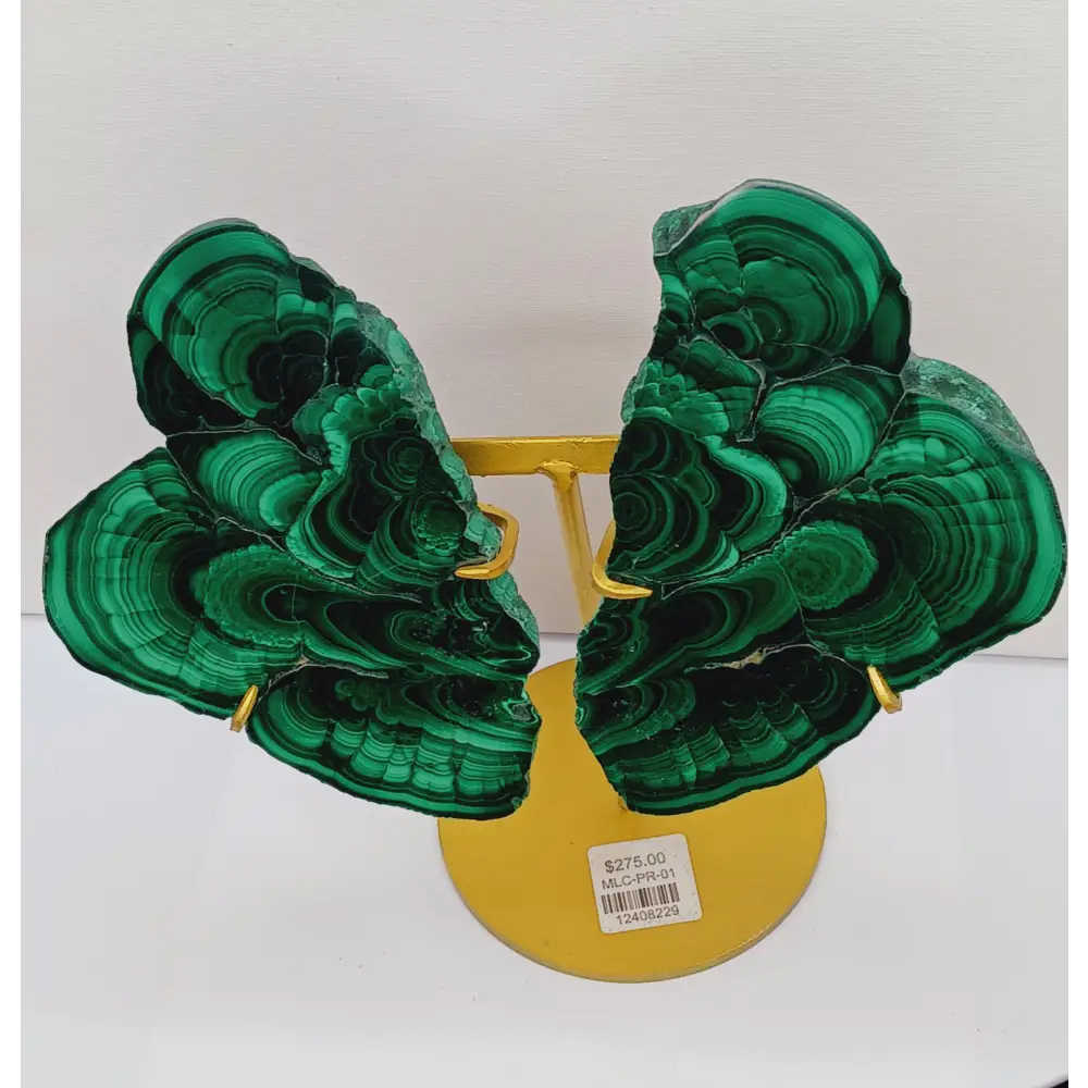 Pair of polished malachite slabs with vibrant green banding, displayed upright on a metal stand against a white background.