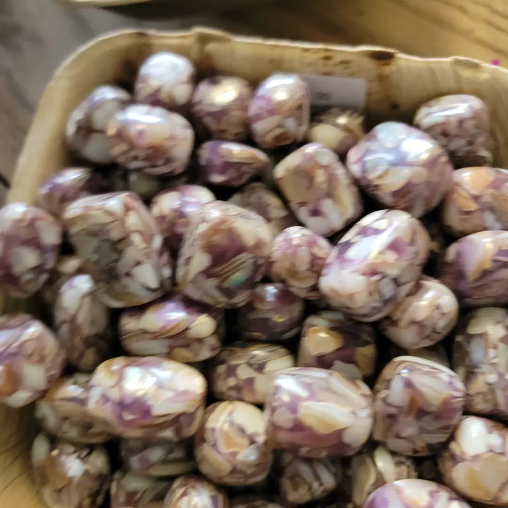 Mixed Shell Tumbles - PURPLE - Tumbles