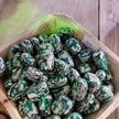 Mixed Shell Tumbles - GREEN - Tumbles