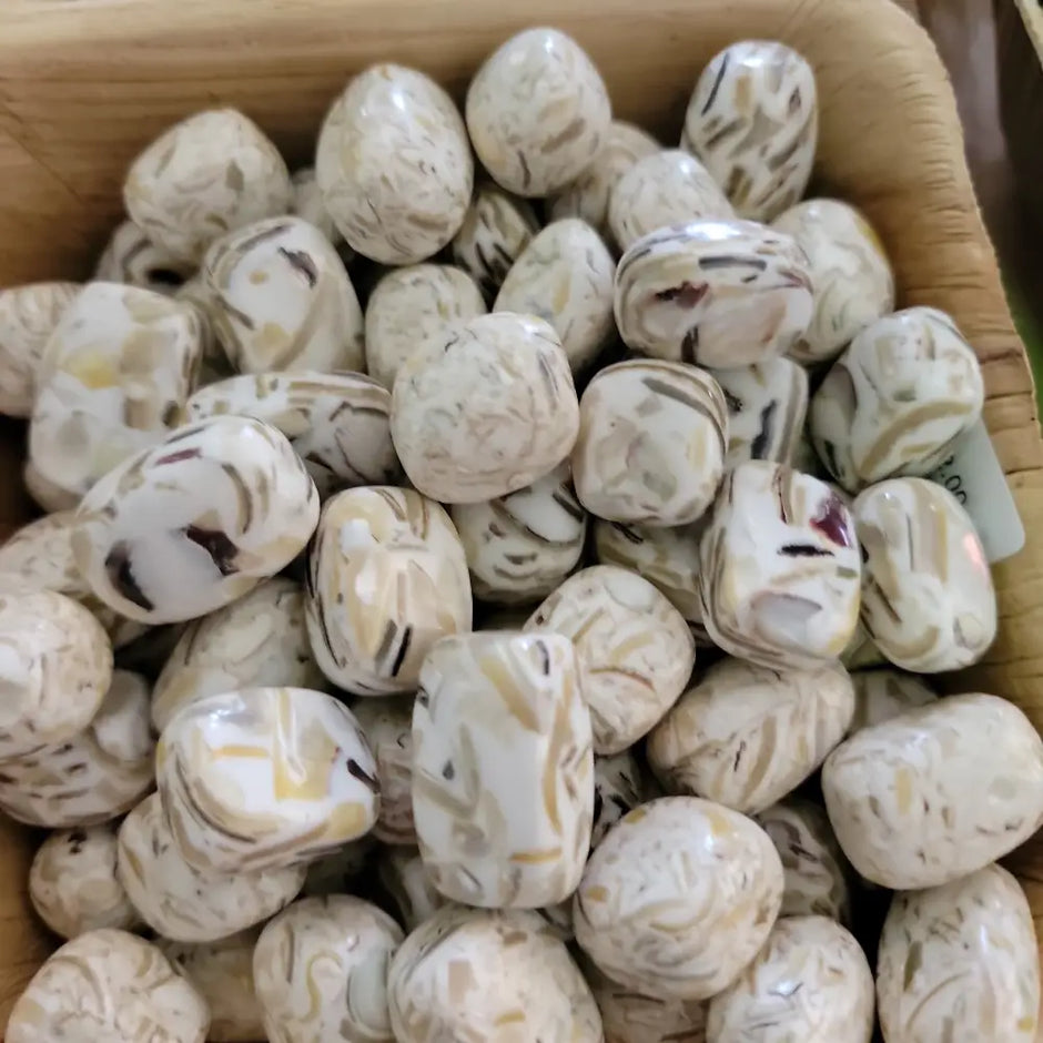 Mixed Shell Tumbles - WHITE - Tumbles
