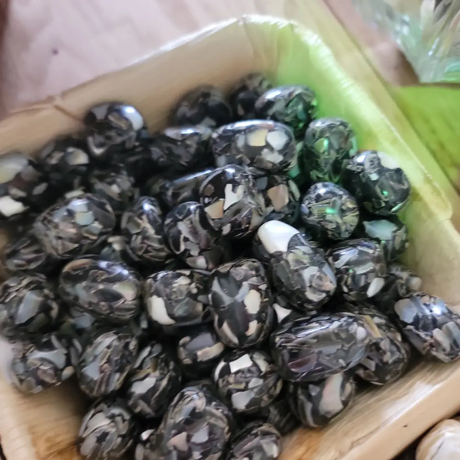 Mixed Shell Tumbles - BLACK - Tumbles