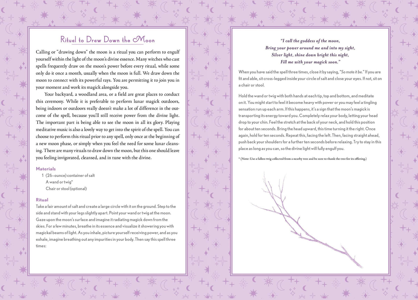 Modern-Day Witch 2024 Wheel of the Year 17-Month Planner - Tarot Decks & Divination