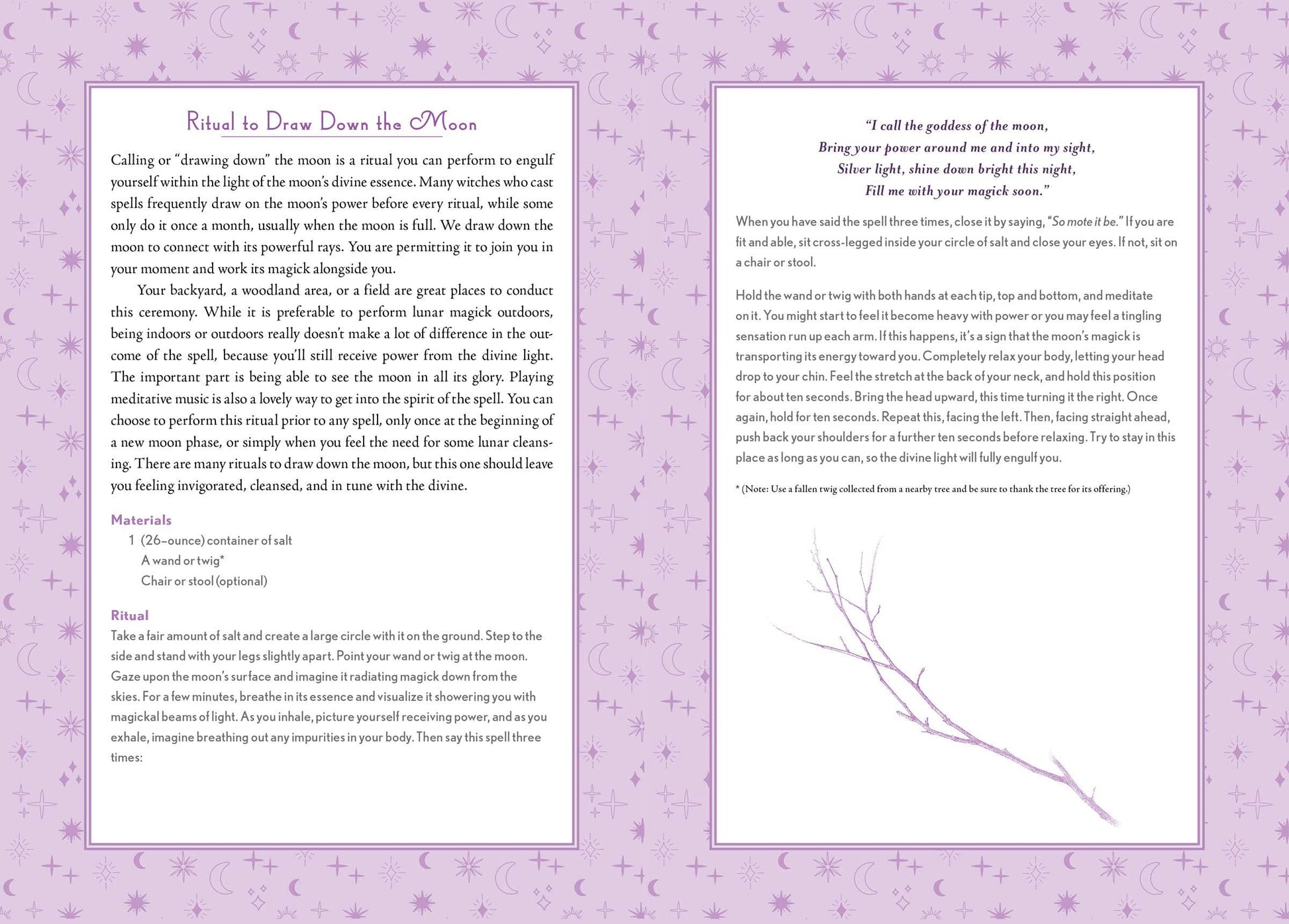 Modern-Day Witch 2024 Wheel of the Year 17-Month Planner - Tarot Decks & Divination