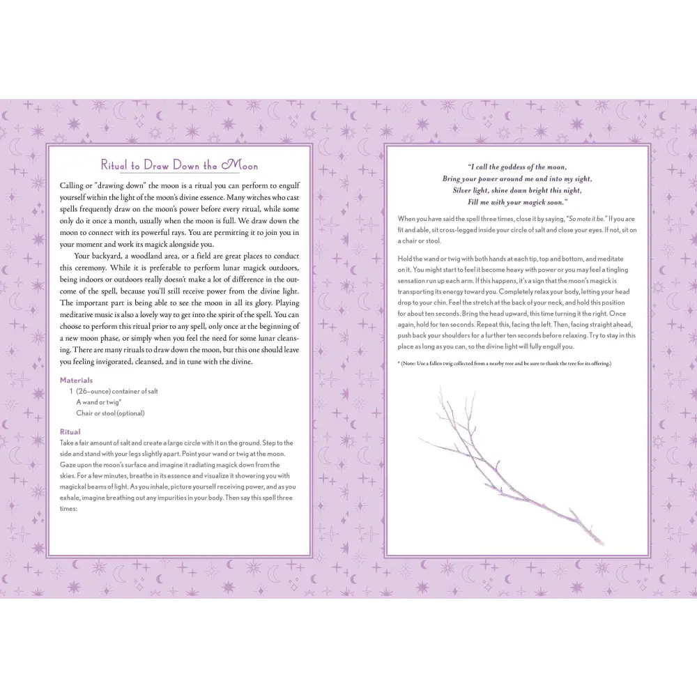 Modern-Day Witch 2024 Wheel of the Year 17-Month Planner - Tarot Decks & Divination