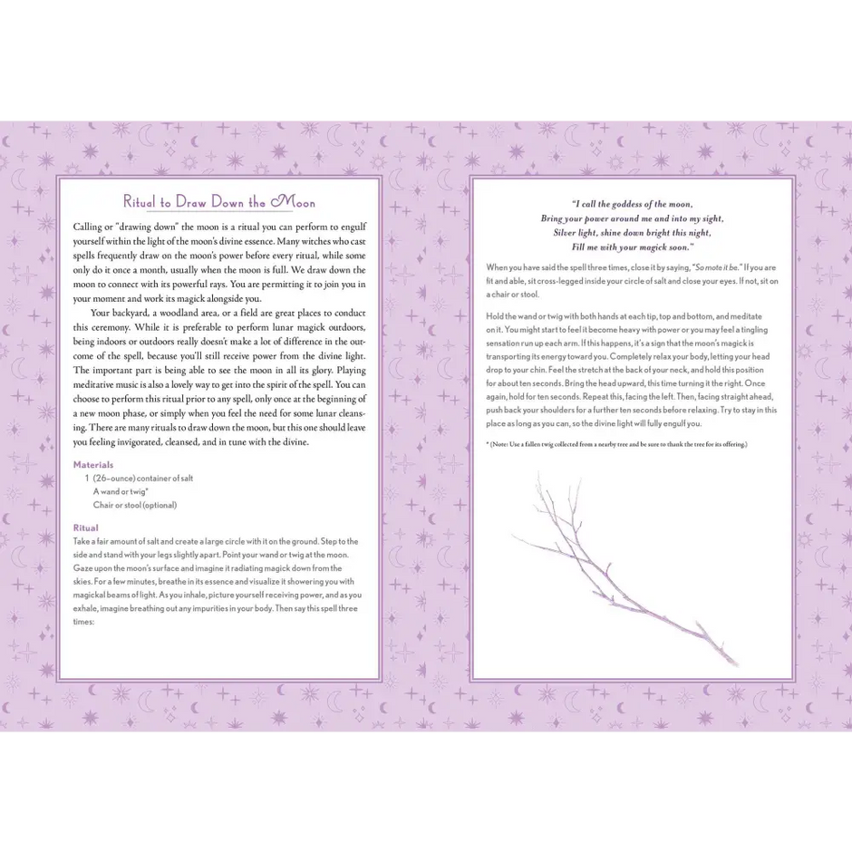 Modern-Day Witch 2024 Wheel of the Year 17-Month Planner - Tarot Decks & Divination