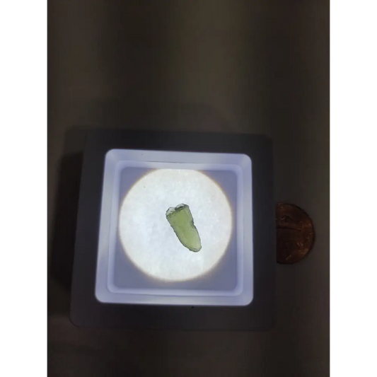 Moldavite Specimens - 1 - Specimens