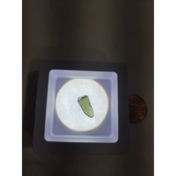 Moldavite Specimens - 1 - Specimens