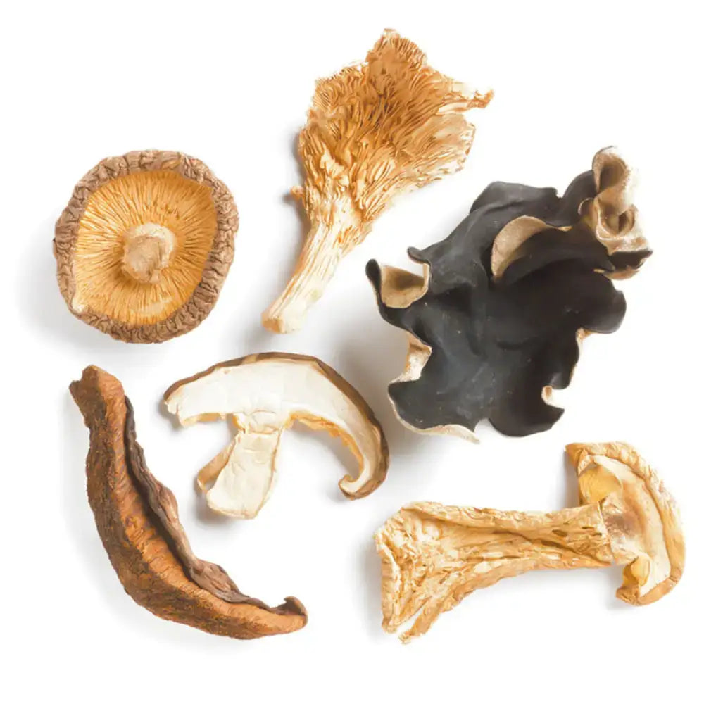 Mushroom Extract Powders (organic)