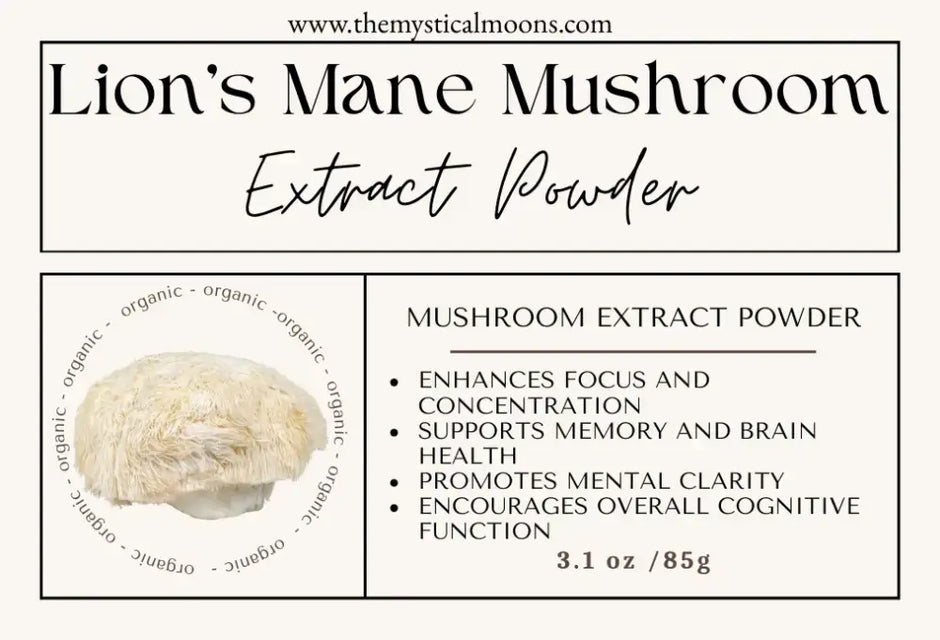 Mushroom Extract Powders (organic) - Organic Lion’s Mane Extract Powder