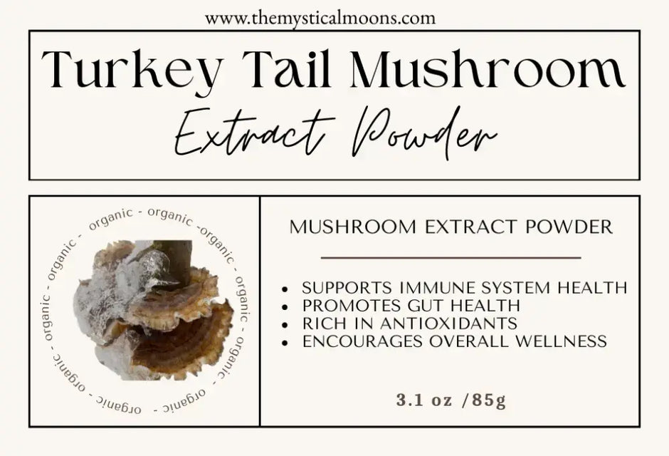 Mushroom Extract Powders (organic) - Organic Turkey Tail Extract Powder