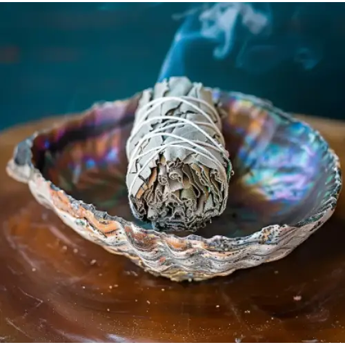 Natural abalone shell, 4–5 inches in size, with iridescent interior and unique natural markings, displayed on a white background. Perfect for burning loose herbs and sage during cleansing rituals.