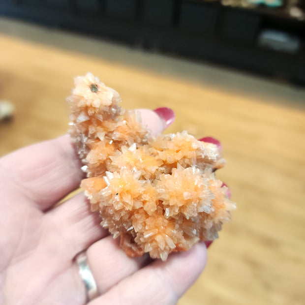 Orange Zeolite Cluster - 1 - Specimens