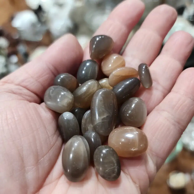 Peach Moonstone Tumble - Tumbles