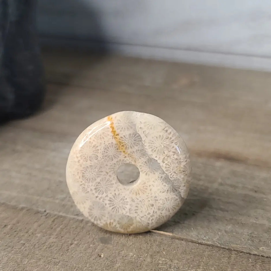 Petrified Corral Buttons - Jewelry