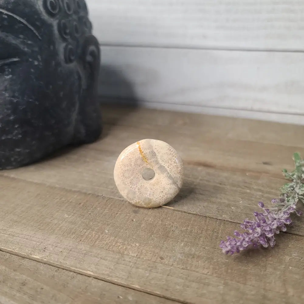 Petrified Corral Buttons - Jewelry