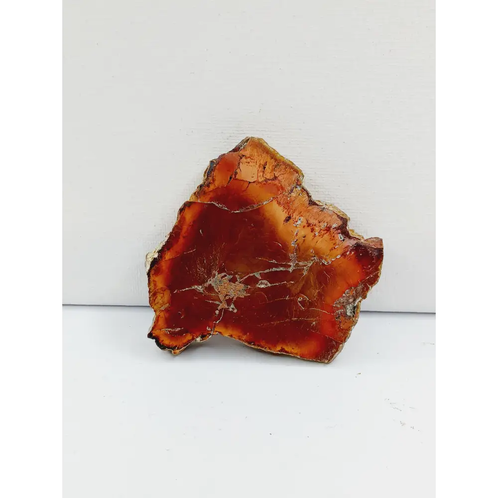 Petrified wood charging plate, polished with natural wood grain and earthy brown tones, displayed on a white background.