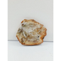 Petrified wood charging plate, polished with natural wood grain and earthy brown tones, displayed on a white background.