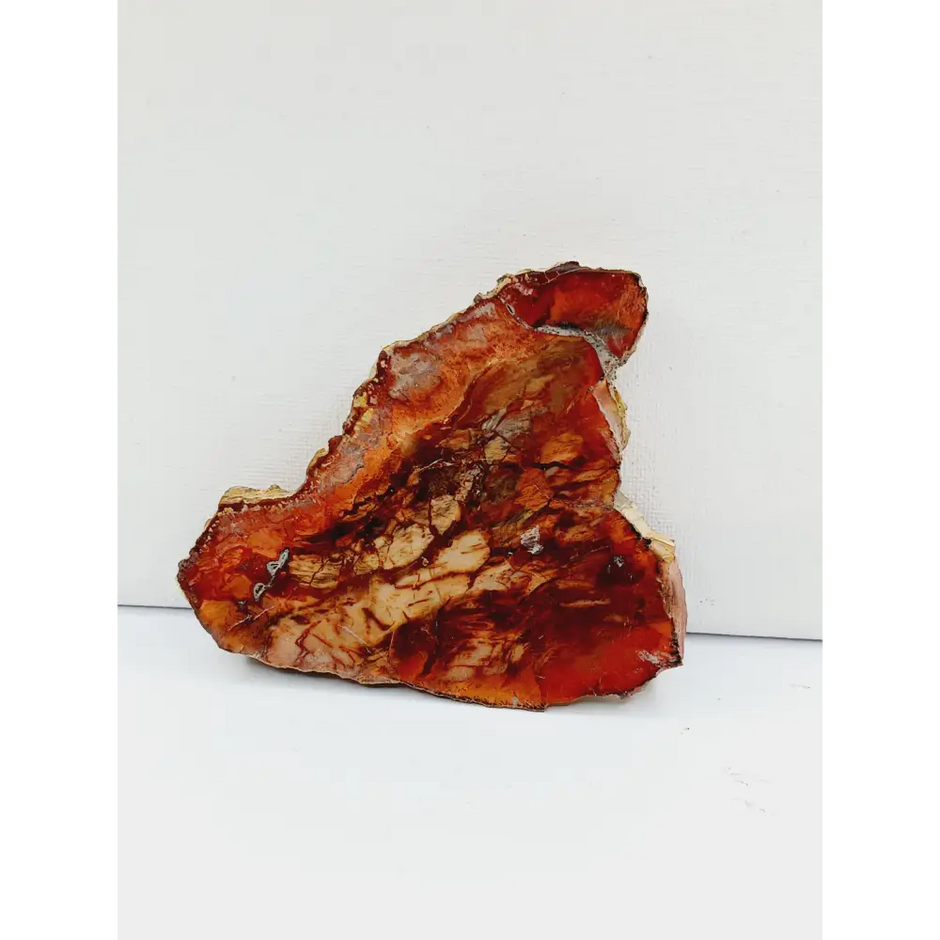 Petrified wood charging plate, polished with natural wood grain and earthy brown tones, displayed on a white background.