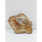Petrified wood charging plate, polished with natural wood grain and earthy brown tones, displayed on a white background.