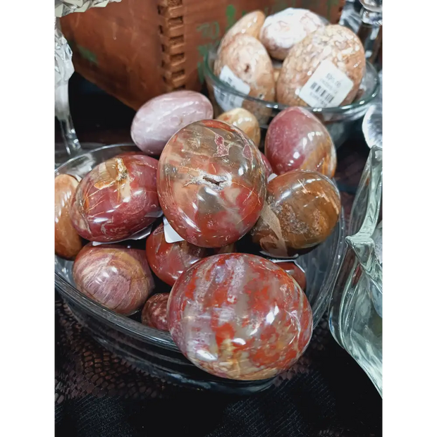 🌳✨ Petrified Wood Palm Stone Intuitive Pick – Grounding Ancient Wisdom and Transformation 🤲 - PALM