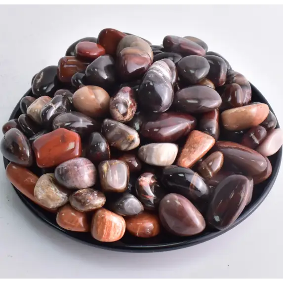 🌳✨ Petrified Wood Tumble – Ancient Wisdom Grounding & Gentle Transformation! 🪵 Tumbles