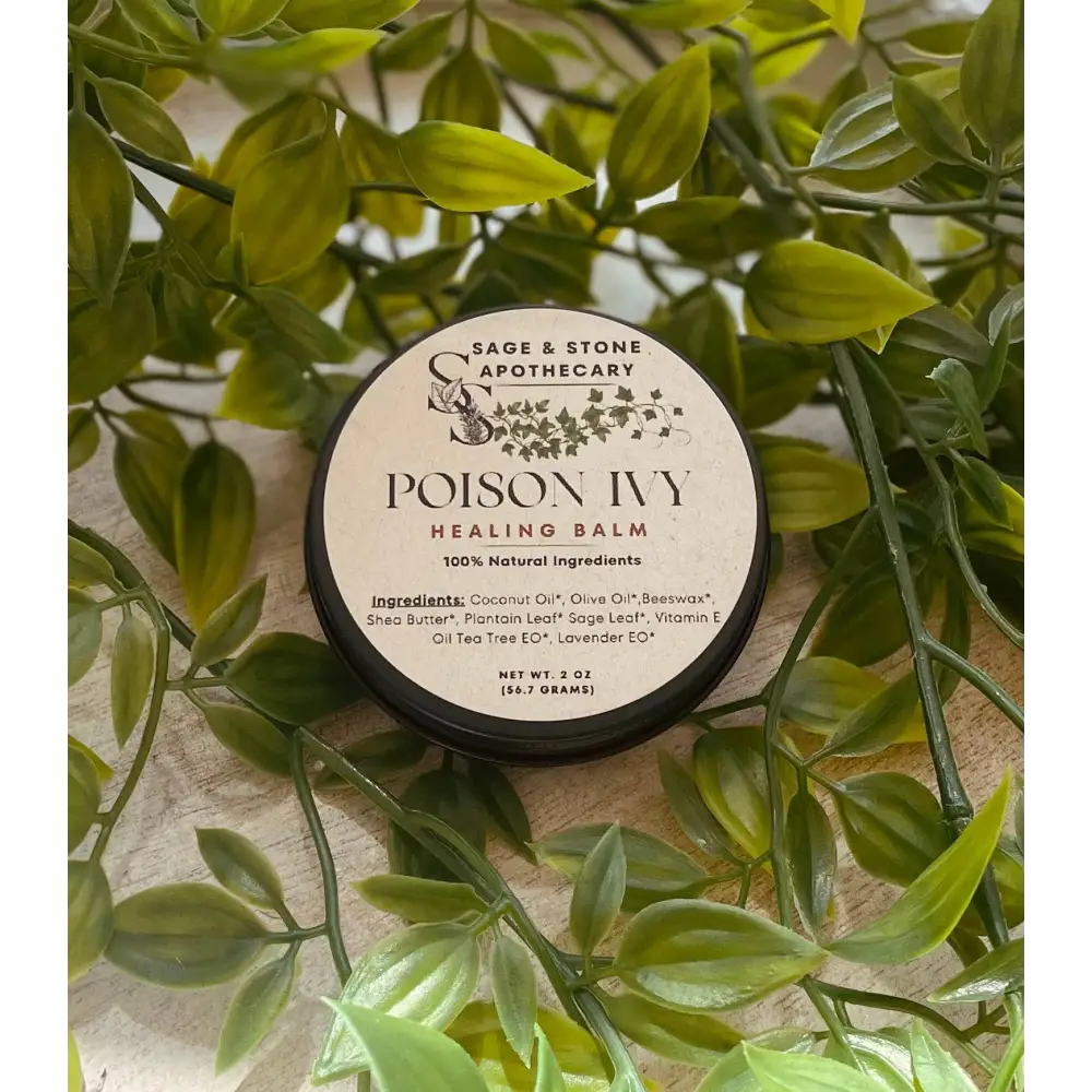 Poison Ivy Salve in a small jar, surrounded by fresh green leaves, displayed on a white background. Perfect for soothing and healing skin irritated by poison ivy, oak, or sumac.

