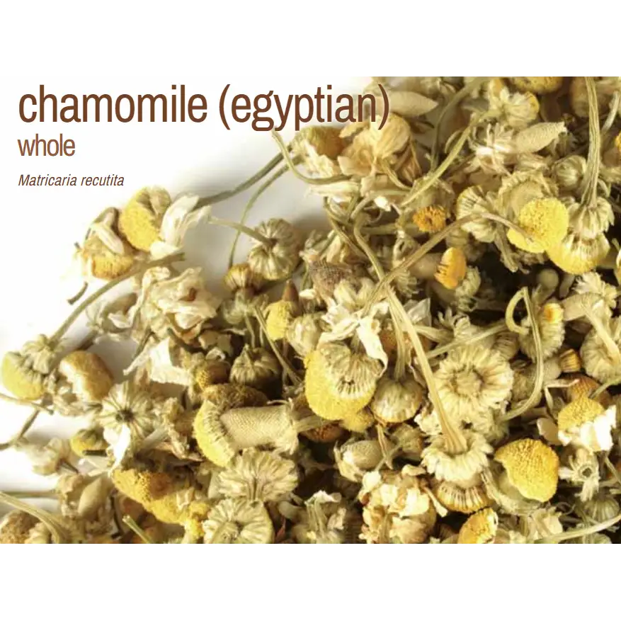 🌿✨ Pre-Packaged Herbs By The Ounce (1 oz) – Ritual Healing and Botanical Magic! 🍃 Page 1 - Chamomile Egyptian - Herbs &