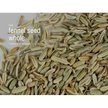 🌿✨ Pre-Packaged Herbs By The Ounce (1 oz) – Ritual Healing and Botanical Magic! 🍃 Page 1 - Fennel Seed - Herbs &
