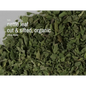 🌿✨ Pre-Packaged Herbs By The Ounce (1 oz) – Ritual Healing and Botanical Magic! 🍃 Page 1 - Nettle Leaf - Herbs &