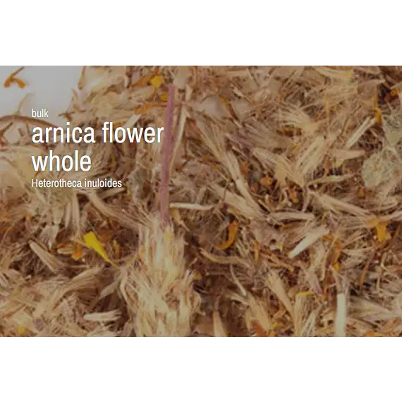 🌿✨ Pre-Packaged Herbs By The Ounce (1 oz) – Ritual Healing and Botanical Magic! 🍃 Page 1 - Arnica - Herbs & Accessories