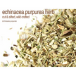 🌿✨ Pre-Packaged Herbs By The Ounce (1 oz) – Ritual Healing and Botanical Magic! 🍃 Page 1 - Echinacea Leaf - Herbs &