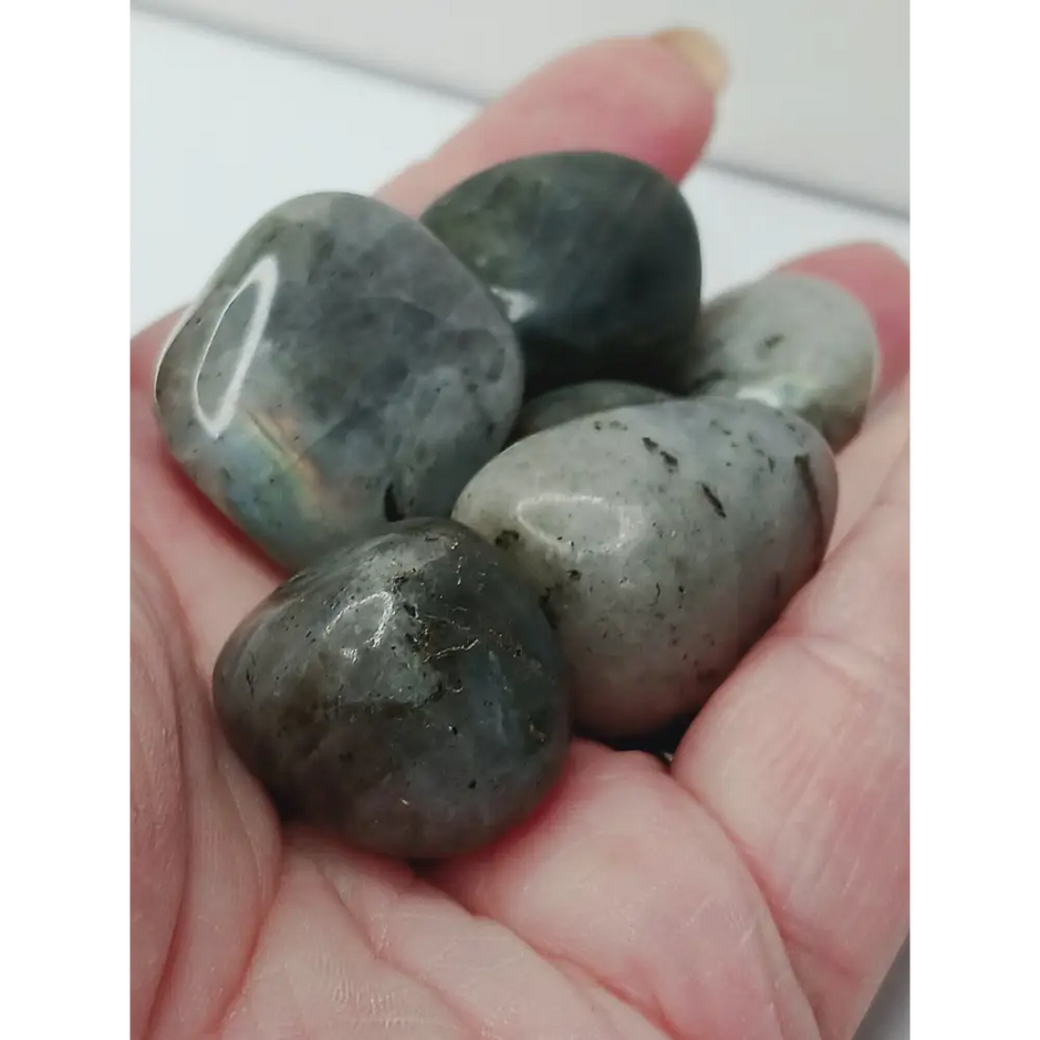 💜✨ Purple and Gold Labradorite Tumble – Transformation Intuition and Magic 🌟 - Tumbles