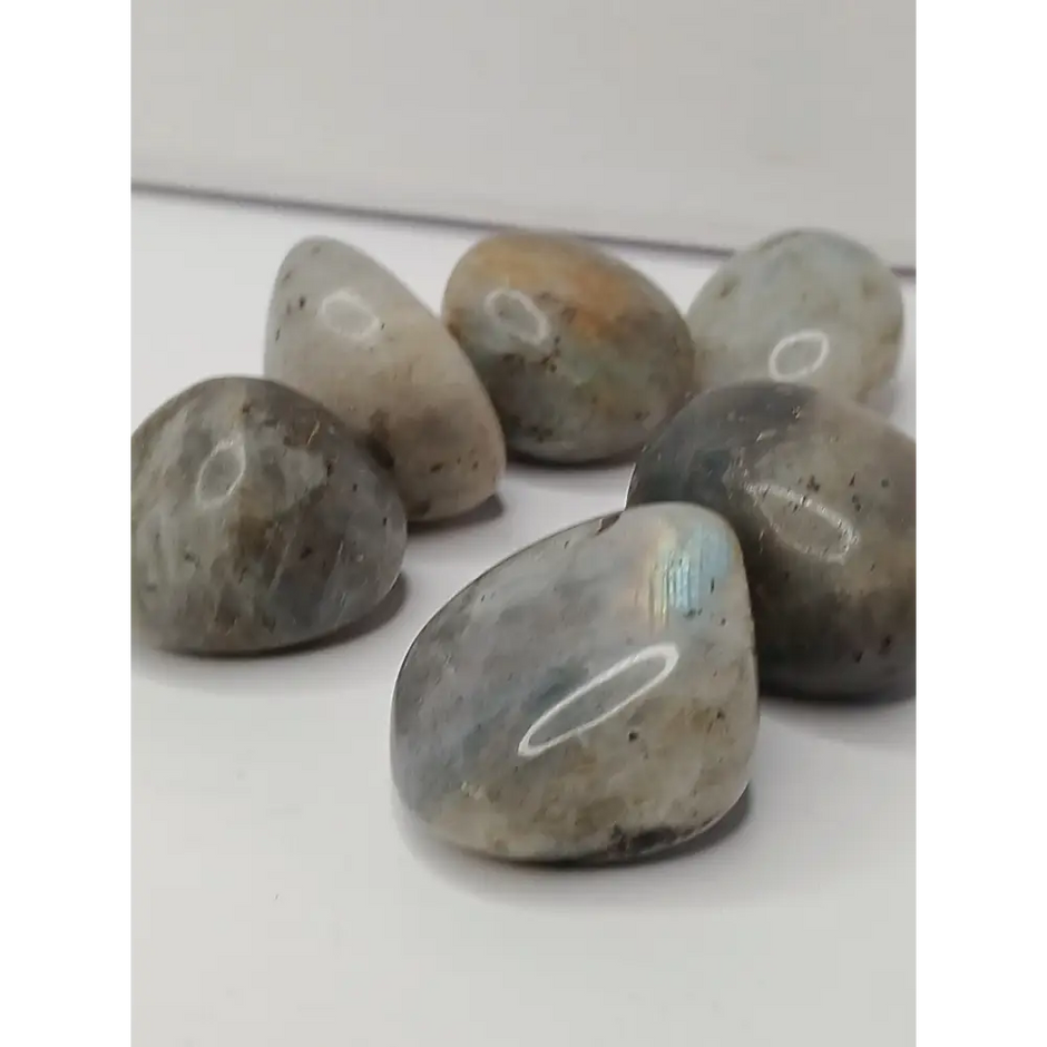 💜✨ Purple and Gold Labradorite Tumble – Transformation Intuition and Magic 🌟 - Tumbles