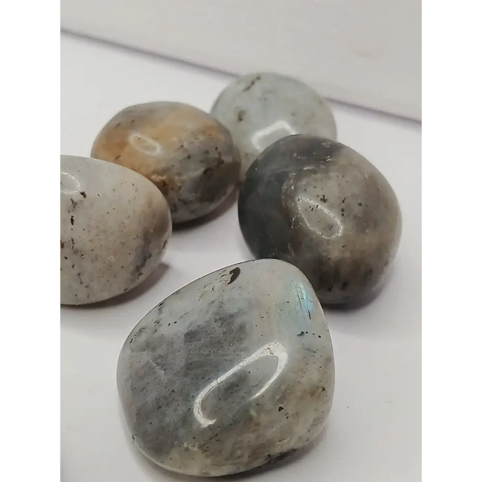 💜✨ Purple and Gold Labradorite Tumble – Transformation Intuition and Magic 🌟 - Tumbles