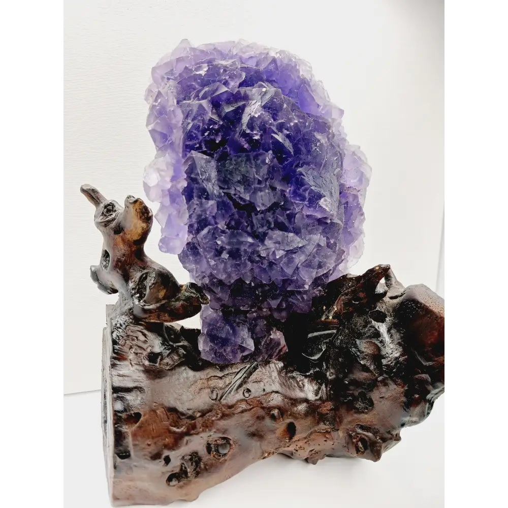 💜✨ Purple Gemy Fluorite with Stand – Clarity Intuition and Majestic Energy 🌟 - Specimens