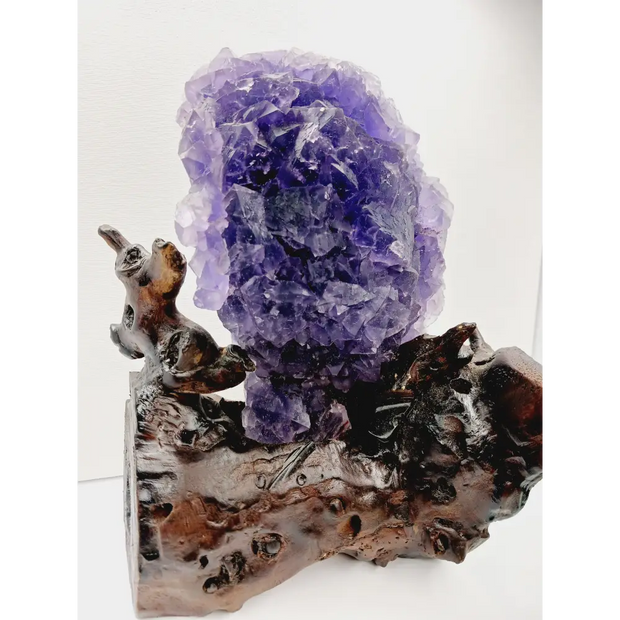 💜✨ Purple Gemy Fluorite with Stand – Clarity Intuition and Majestic Energy 🌟 - Specimens