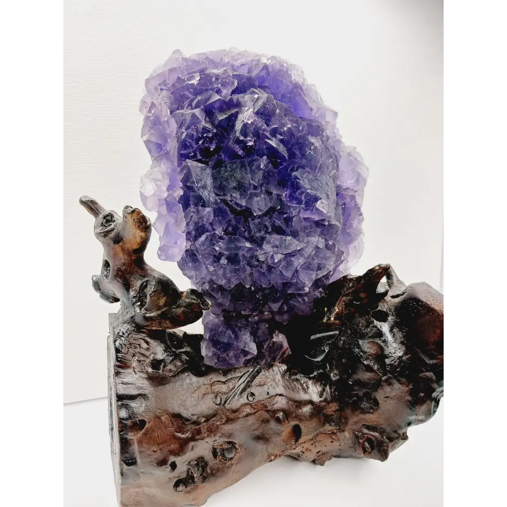💜✨ Purple Gemy Fluorite with Stand – Clarity Intuition and Majestic Energy 🌟 - Specimens