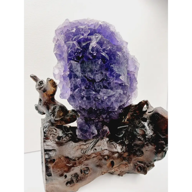 💜✨ Purple Gemy Fluorite with Stand – Clarity Intuition and Majestic Energy 🌟 - Specimens