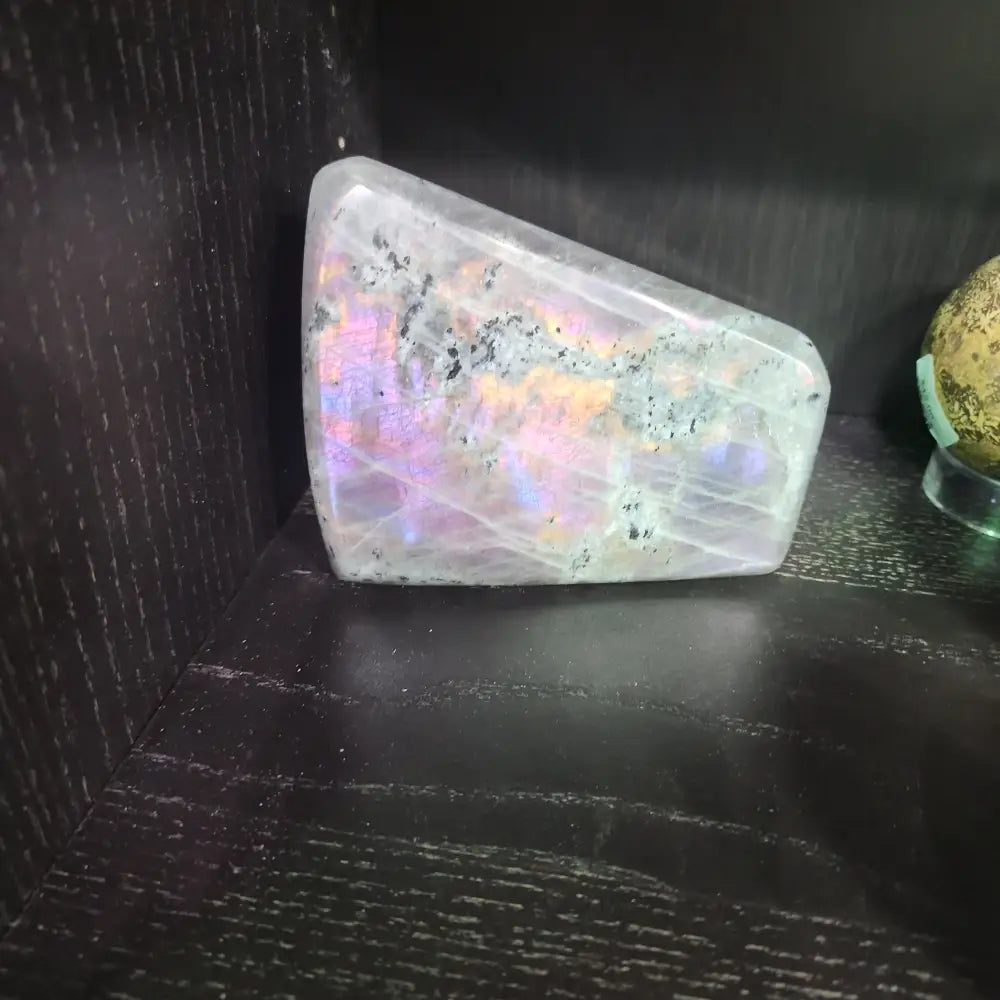 Purple Laboradite Freeforms - Free Forms