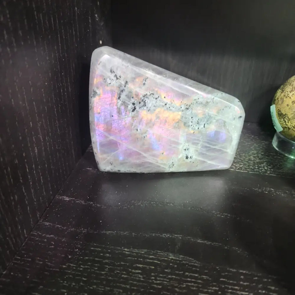 Purple Laboradite Freeforms - Free Forms